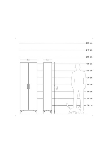 Arges Dolap 2 Kapaklı Tek Askılı 88x30x182 Çam-aytaşı Çam