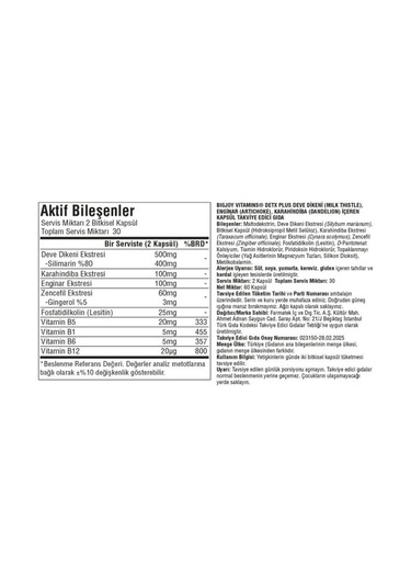 Bigjoy Sports Detox Plus 60 Kapsül