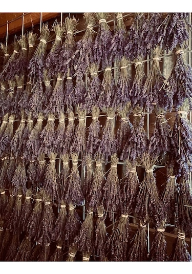 Pureal Kurutulmuş Doğal Lavanta Demeti