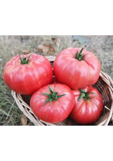 30 Adet Tohum Nadir Iri Pembe Köy Domatesi Domates Tohumu Sürpriz Hediye Sebze Tohumludur