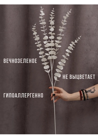 Wisty Yapay Okaliptüs Beyaz, Dekorasyon İçin Dal 80 Cm 348725780 Beyaz