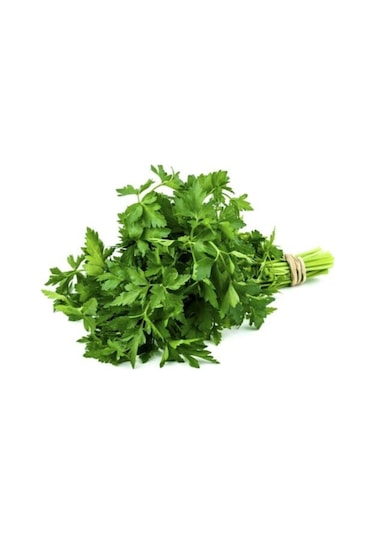 Maydanoz Tohumu Geniş Yapraklı Italyan Maydanoz Tohumu 250 Adet Tohum