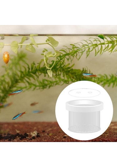 Suntek Yüzen Akvaryum Damızlık Kutusu Akrilik 15cmx12cm