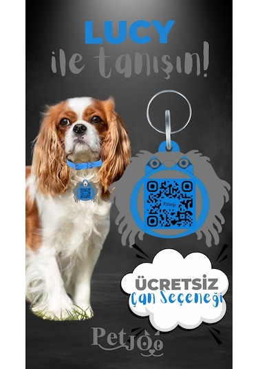 Petjoo 11.Lucy Gri-Mavi Qr'lı Köpek Künyesi