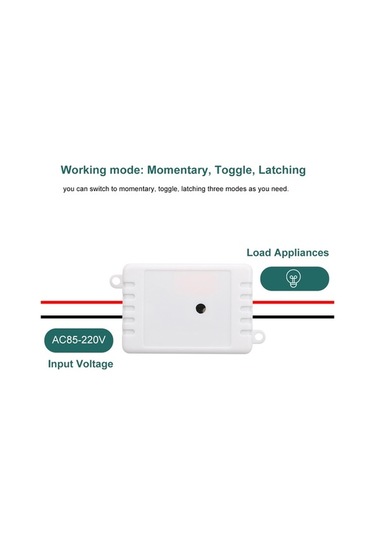 Pazly 433mhz Akıllı Ev Röle Alıcı-verici, 85-220v, 1kw, Rf Kumanda Modülü + Rf Kumanda 1527 Diğer