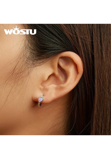 Wostu Otantik 925 Ayar Gümüş Narin Güzel Renkli Aşk Küpe Kadınlar Takı Hediye İçin Diğer