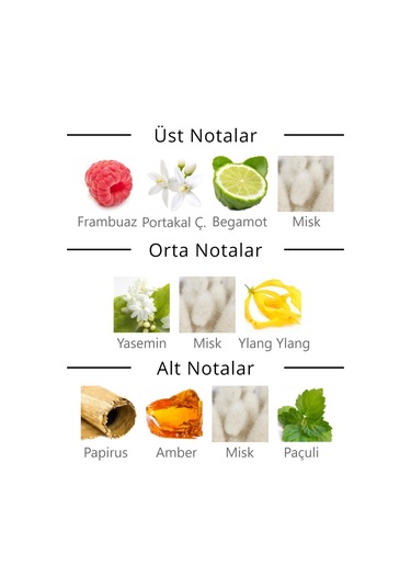 Royal Club De Polo Barcelona Chafarinas Kadın Parfüm EDP 50 ML