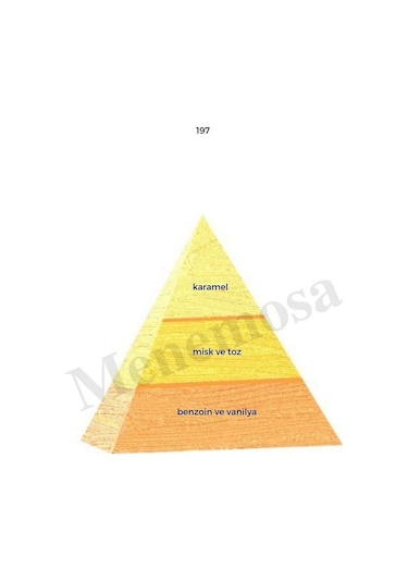 Bargello 197 171 Kadın Parfüm EDP 50 ML Oriental / Floral - 68189800050EDP Baharat