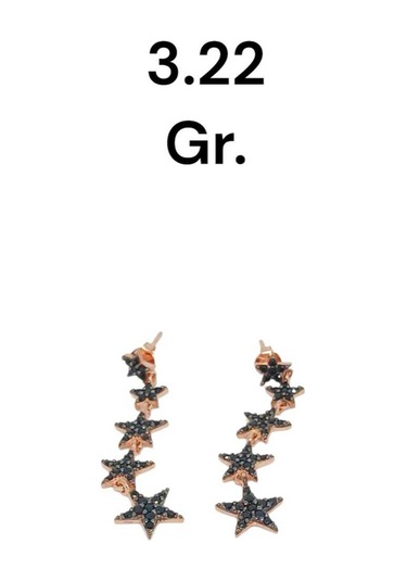 Taşlı Kayan Yıldız Model Rose Kaplama 925 Ayar Gümüş Küpe Modern Tasarım Gümüş