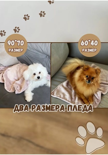 Mur Hayvanlar İçin Battaniye: Köpekler Ve Kediler İçin 60x40 Cm Örtü 176362851