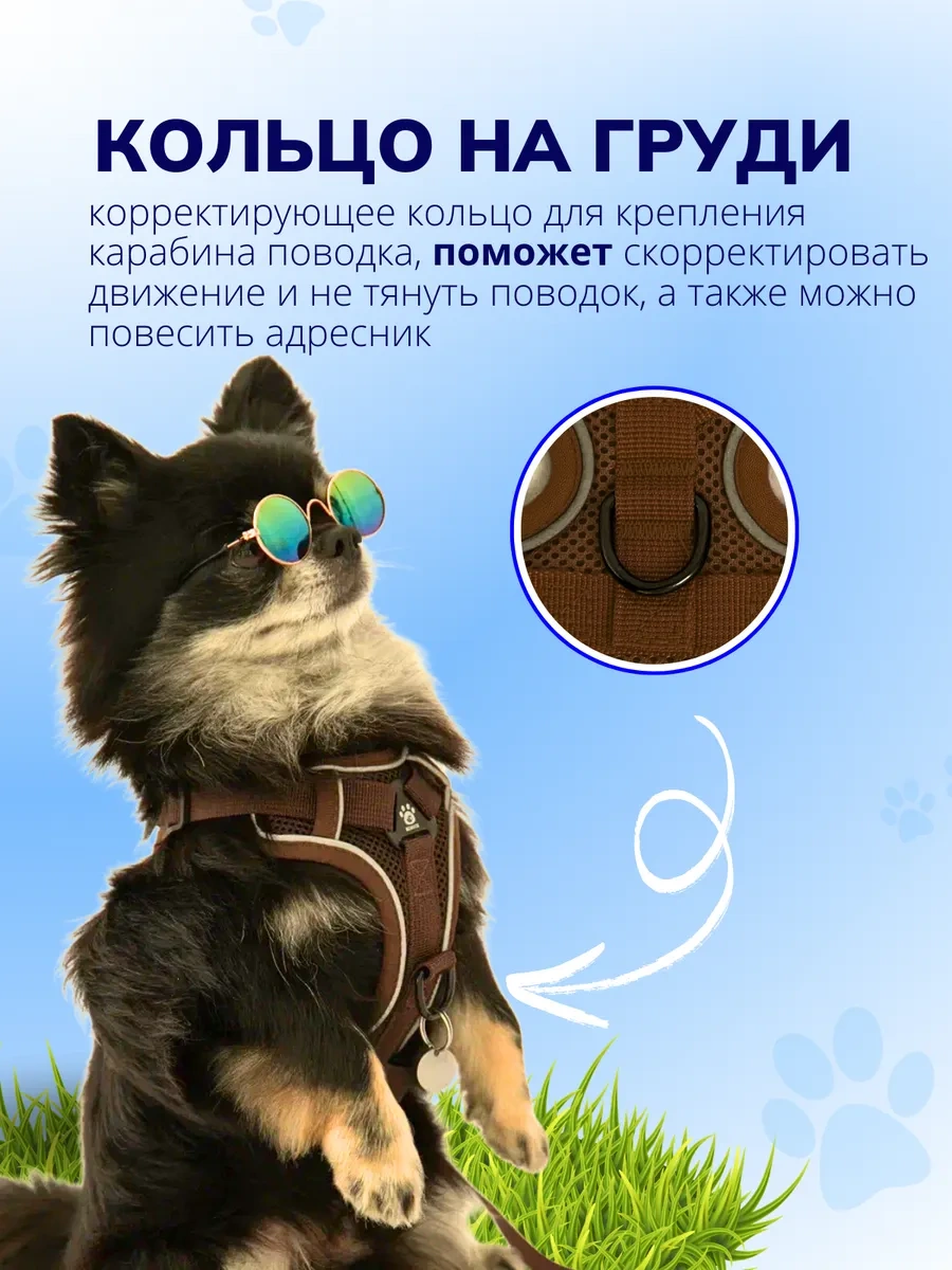 Stepico Kedi Ve Köpekler İçin Gezinti Yürüyüşü Tasması 310536823