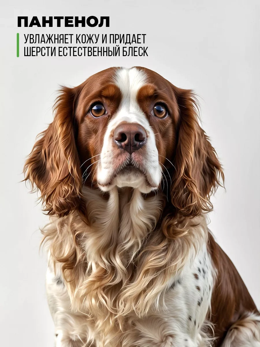 Spets Köpekler Ve Yavrular İçin Şampuan, Hipoalerjenik Pantenol İçerikli, 1l 145159119