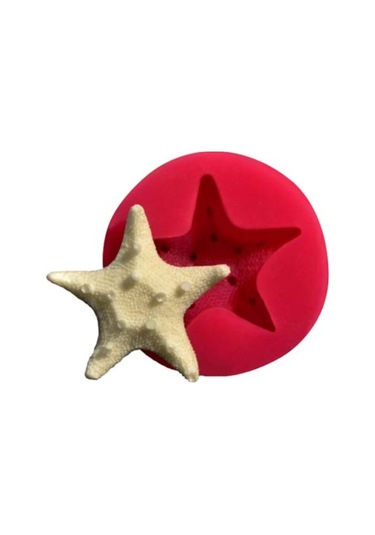 Silikon Kalıp Deniz Yıldızı 2