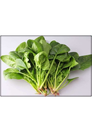Ispanak Tohumu İthal Matador Çeşidi 250 GR