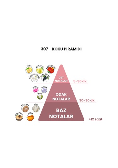 BEX 307 Unisex Parfüm EDP 50 ML