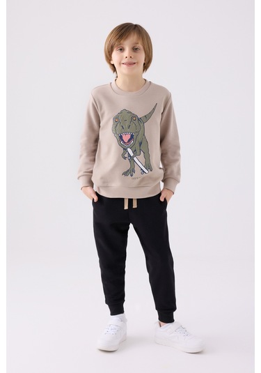 Rolypoly Erkek Çocuk Eşofman Takımı Rp3430 Kum Kum