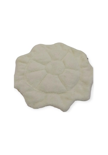 Sincap Sugar Glider Ginepig Yuvası 40-20 CM 15 CM