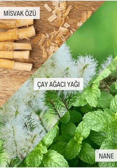 Besttem Sensitive Nane Çay Ağacı Diş Macunu 100 G