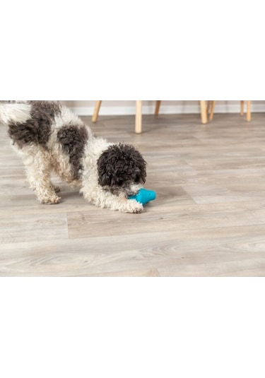 Trixie Naturel Kauçuk Köpek Oyuncağı Ödül Hazneli 12 CM