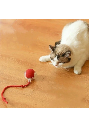 Akıllı Kendiliğinden Dönen Kedi Oyuncağı 360 Şarjlı Hareket Eğlence ve Egzersiz Kırmızı