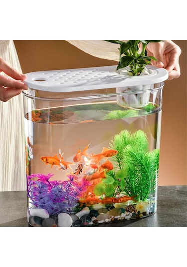 Suntek Mini Balık Tankı Temizle Taşınabilir Masa Hidroponik