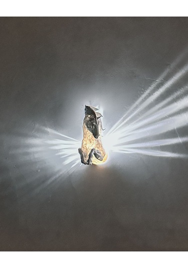 Pegasus Gece Lambası Beyaz