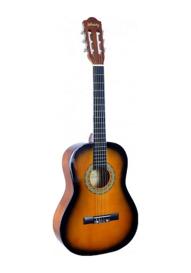 Lichtenberg Cg836 Sb Klasik Gitar Taşıma Çantalı