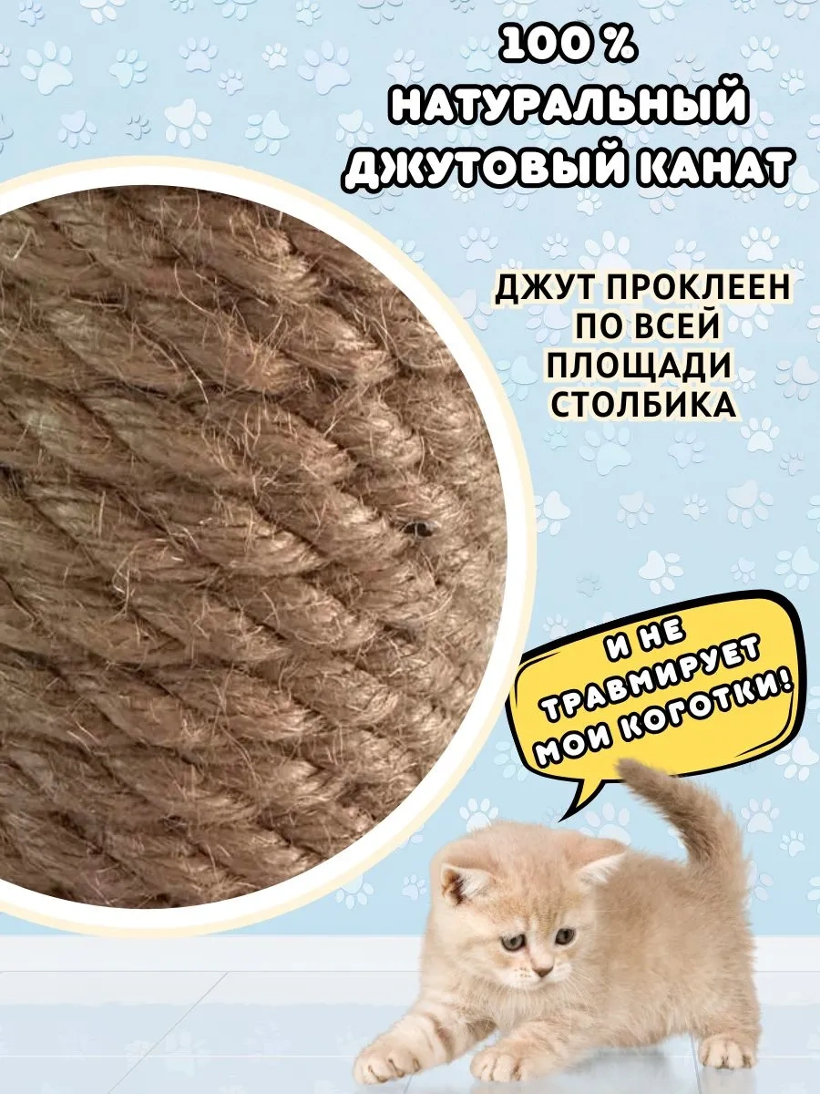 Mr Cat Yavru Kediler İçin Tırmalama Direği 343531753