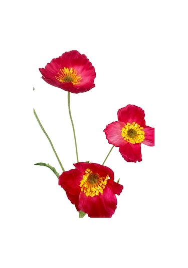 Yapay Çiçek Gelincik Çiçeği Pembe Koyu Renk 3 Çiçek 1 Tomurcuk 59cm