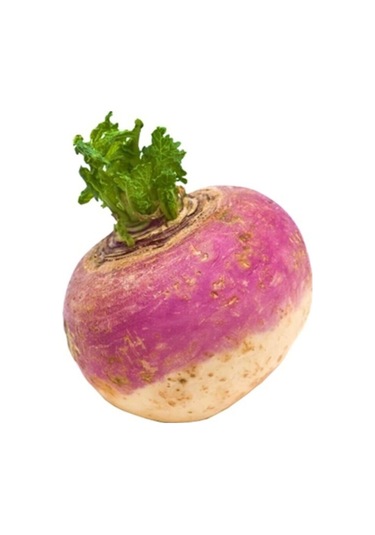 Eko Paket Şalgam Turpu Tohumu Turp Tohumu 150 Adet Tohum