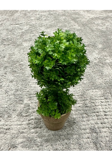 Ev Ve Ofis Hediyesi Dekoratif Yapay Şimşir Ağacı - Saksılı 10x24 Cm Yeşil