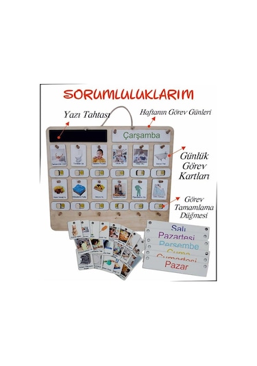 Ankebut Sorumluluk Büyük Boy 31494