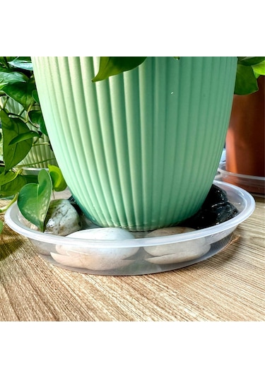 Lemestar 4 Adet 30 Cm Çap Şeffaf Plastik Bitki Tablası - Su Ve Toprak Sızıntısını Toplar, Dış Ve İç Kullanım Uygun, Uv Dayanıklı, Zeminleri Korur