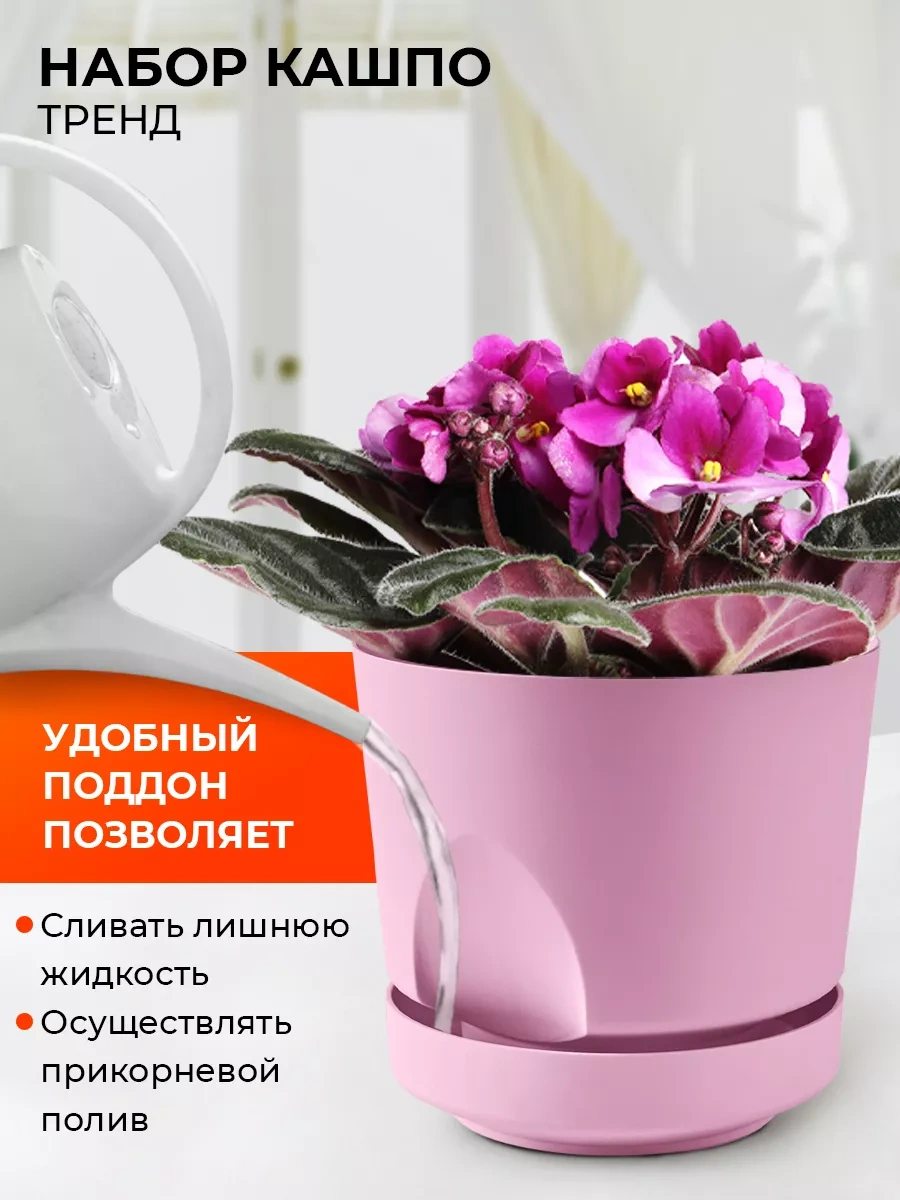 La Decoro Sukulentler İçin Saksı, Menekşe Saksıları, Kaktüs Saksısı. 233787581