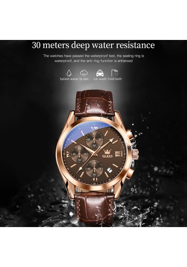 Olevs 2872 Erkekler Üç Göz Altı İğne Kronograf Su Geçirmez Kuvars Saat Kahve + Gül Altın