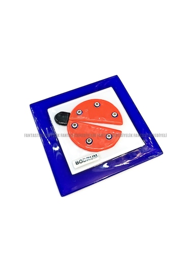 Bodrum Uğur Böceği Nazarlık Banyo Balkon Tuvalet Gider Kapağı Çok Renkli