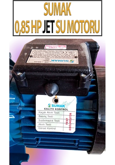 0,85 Hp 0,65 Kw Su Motoru 220 Volt 4,6 Amper