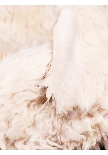 Naturel Zarafet: Hakiki Hayvan Derisi Aksesuarıyla Evinizdeki Do