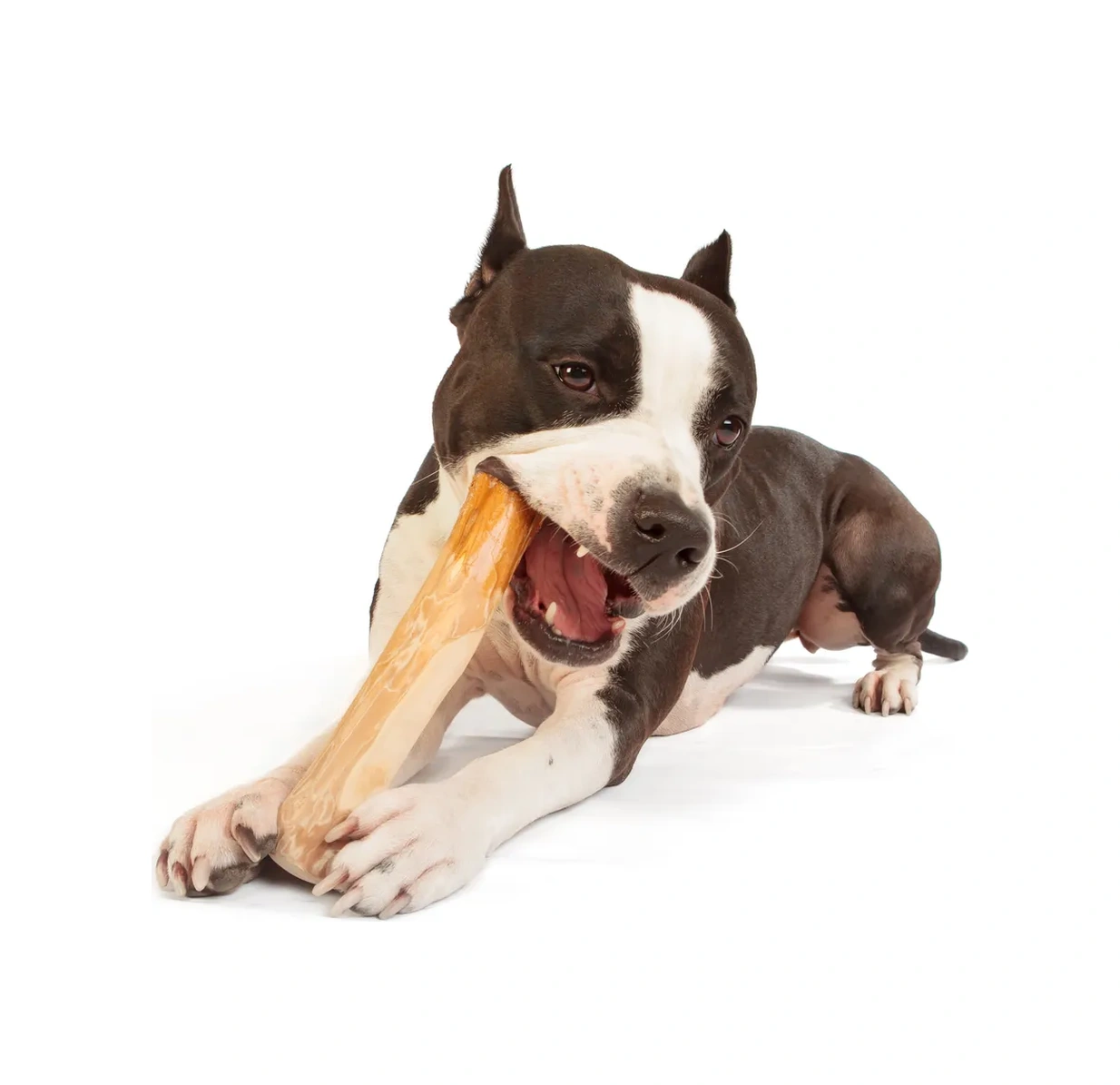 Coffee Wood L Kafes Ağacı Çubuğu 103753783