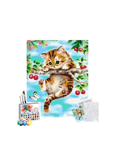 Sayılarla Boyama Seti 40 X 50 Cm Tuval Şasesine Gerili Yaramaz Y