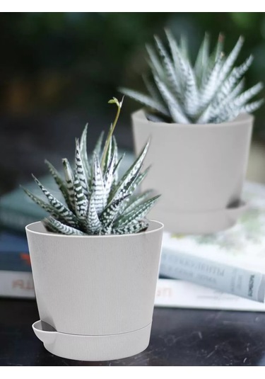 Interm Menekşeler, Sukulentler Ve Kaktüsler İçin Küçük Çiçek Saksısı 211028815