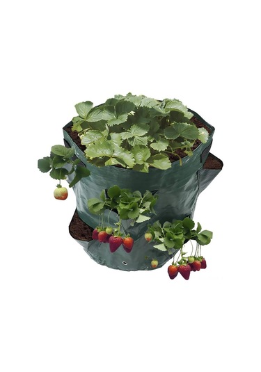 Neevoyu Turuncu 3 Galon Pe Askı Bitki Saksısı, Çilek Ve Çiçekler İçin Havuzlu Bahçe Yetiştirme Çantası, 20x35cm, 2 Kollü