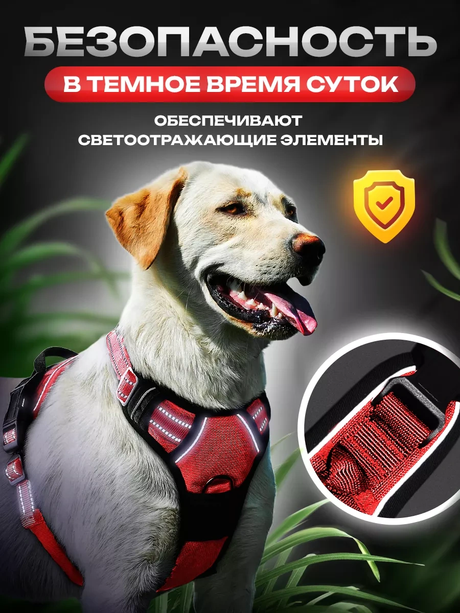 Petfort Orta Ve Büyük Irk Köpekler İçin Anatomik Koşu Kayışı 175588727 Kırmızı