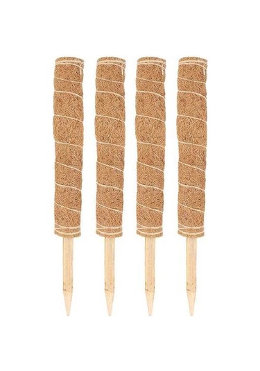 Diğer Tırmanan Pratik Lifli İçin Hindistan Destek Çubuğu Çözüm Cm Cevizi Bitkiler Bitki Adet 45 4 - Ol