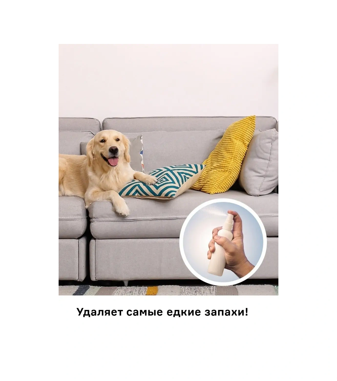 Helmetex Hayvan Kokusu Giderici 8197250