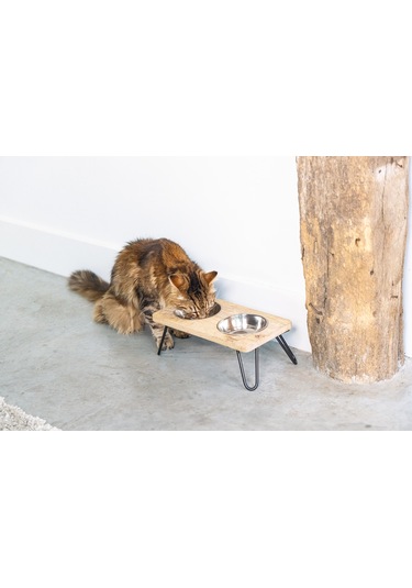 Beeztees Dbl Kedi İkili Mama Ve Su Kabı, Paslanmaz Çelik, Beyaz, 31x16x10cm, 2x350ml