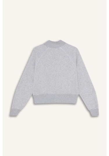 Defacto Loose Fıt Baskılı Fermuarlı Sweatshirt G8117ax26spgr256 Gri-gr256