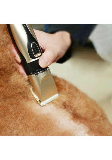 Venturemart Evcil Köpek Kedi Elektrikli Giyotin Kedi Köpek Bakım Seti-altın