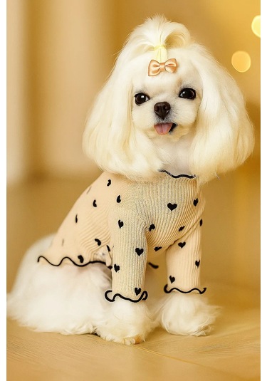 Best Golden Monkey Köpek Elbisesi "makaronka" 387080061