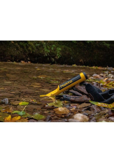 Nokta Accupoint / Ayrımlı Pointer Dedektörü